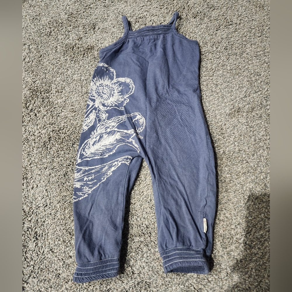 Burts Bees Baby Blue Romper with White Flowers